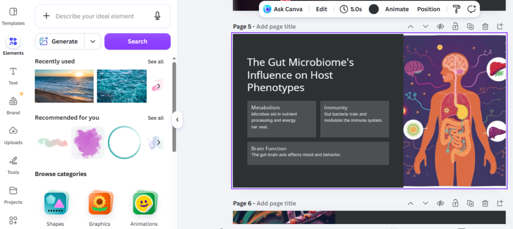 using canva for presentations