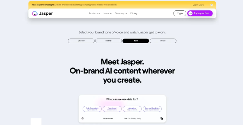 Interface of jasper ai