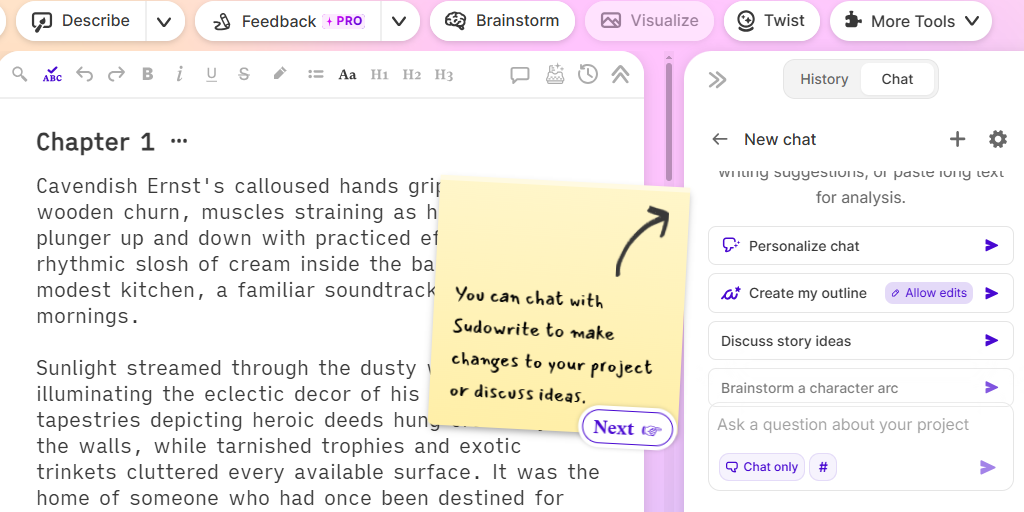 Interface of sudowrite