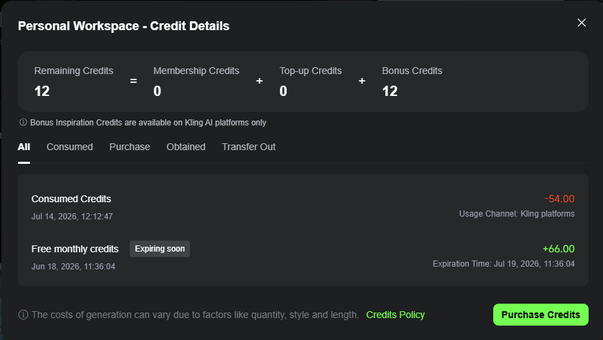 Kling credits usage