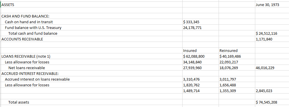 Gemini Excel output from the scanned financial statement extraction test